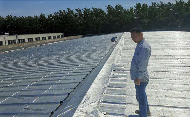屋顶防水项目